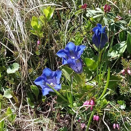 Karin アパート *